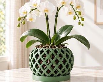 Small Orchid Pot with Holes, 3–6 Inch Diamond Mesh Planter with Drainage, Optional Tray | Nire