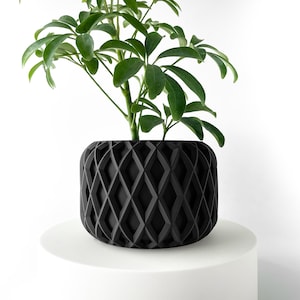 May include: A black planter with a geometric diamond pattern design. A green leafy plant is growing in the planter.