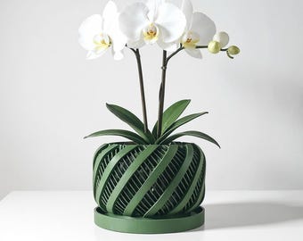 May include: A white orchid plant with three open blooms and several buds, potted in a dark green, cylindrical planter featuring a spiraling, slatted exterior design and a matching circular drip tray base for drainage and plant support.