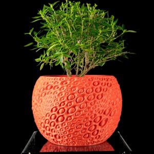 Modern Sculptural Plant Pot "Pearl", Custom Color Indoor Planter