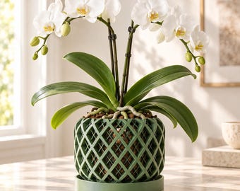 Unique Orchid Pot with Holes, 3–7 Inch Open Lattice Planter with Drainage, Optional Tray | Noro