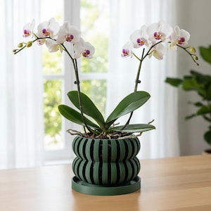 Tiered Slotted Orchid Pot "Oli" • Ribbed 3D Printed Planter with Drainage Saucer