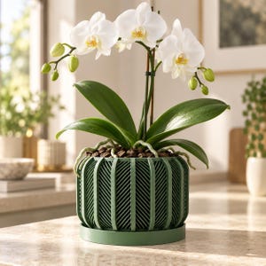 Unique Orchid Pot with Holes, 3–7 Inch Planter with Drainage, Structured Lattice, Optional Tray | Rodex
