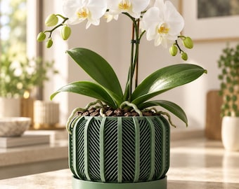 Unique Orchid Pot with Holes, 3–7 Inch Planter with Drainage, Structured Lattice, Optional Tray | Rodex