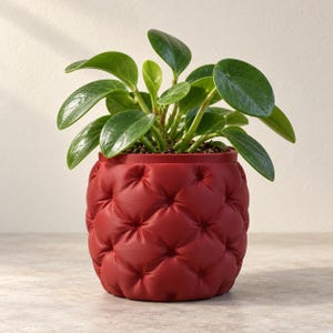 May include: A vibrant green Peperomia plant with glossy, rounded leaves potted in a deep red, cylindrical planter featuring a tufted, button-pressed texture that mimics the appearance of upholstered furniture with a repeating diamond pattern.