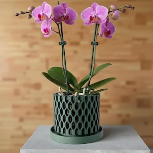 3D Printed Orchid Planter Pot "Erna": Modern Geometric Pot with Drainage
