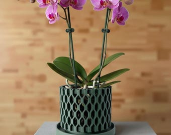May include: A potted Phalaenopsis orchid with vibrant pink and white patterned petals and dark green leaves. The plant is housed in a cylindrical, dark green planter featuring a geometric honeycomb lattice design and a matching circular drip tray.