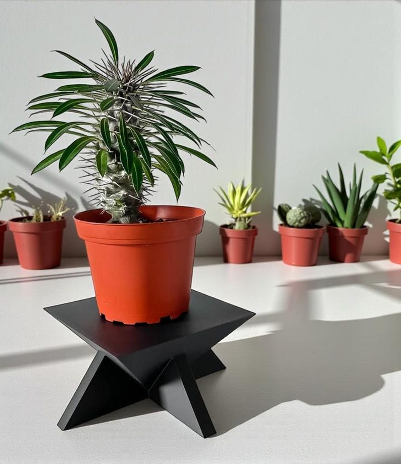 Modern Plant Riser Modern 3D Printed Pedestal Plant Stand