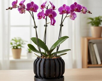 May include: A vibrant potted orchid plant featuring multiple stems with bright magenta flowers and deep green leaves, housed in a black, vertically slatted cylindrical plastic planter with a matching circular drip tray base.