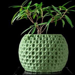 May include: A green, spherical planter with a textured, dimpled surface, holding a small, leafy green plant. The plant has long, slender leaves and brown stems. The background is solid black, highlighting the plant and planter.