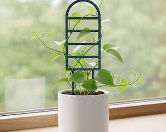 Mini Monstera Plant Trellis, Modern Houseplant Stake, Propagation Support -  Etsy