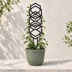 May include: A black metal plant trellis featuring a repeating geometric hexagon pattern, inserted into a sage green ceramic pot containing a climbing plant with small green leaves and white flowers, standing upright as a support structure.
