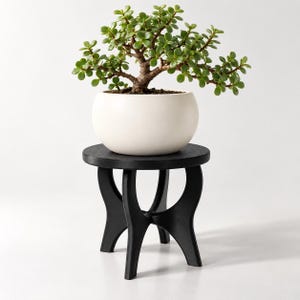 May include: A green jade plant with thick, rounded leaves and a woody stem potted in a smooth, matte white spherical planter. The planter rests on a black wooden stand featuring a circular top and four curved legs that flare outward at the base.