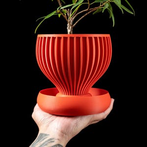 May include: A vibrant orange plant pot with a unique, ribbed design, held in a hand against a black background. The pot is filled with a small green plant. The pot has a matching saucer.
