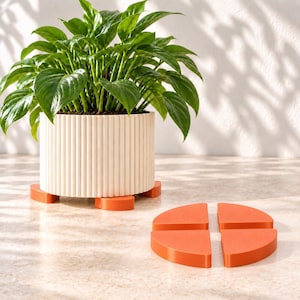 May include: A white cylindrical planter with a vertical ribbed texture containing a green leafy plant. The planter rests on three small orange semi-circular risers. Four additional orange semi-circular risers are arranged in a square pattern.