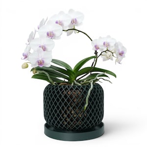 3D Printed Orchid Planter "Ravik": Modern Geometric Pot with Drainage