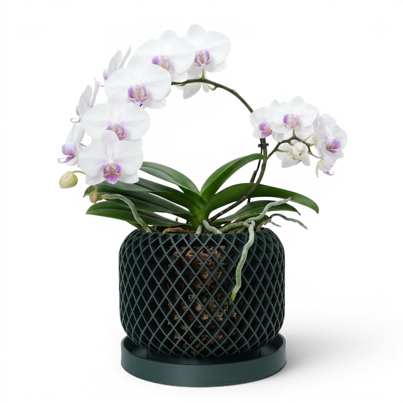 Ravik orchid pot with white orchid, ventilated diamond pattern, and matching saucer