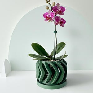 May include: A vibrant phalaenopsis orchid with magenta and white patterned petals and several unopened buds, supported by a thin green stake, planted in a dark green, cylindrical planter featuring a repeating chevron-style cutout pattern.