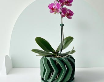May include: A vibrant phalaenopsis orchid with magenta and white patterned petals and several unopened buds, supported by a thin green stake, planted in a dark green, cylindrical planter featuring a repeating chevron-style cutout pattern.