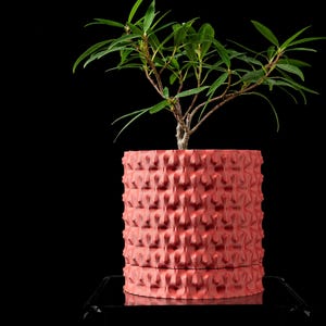 May include: A cylindrical coral-colored plant pot with a repeating geometric textured pattern on the exterior surface. The pot features a distinct horizontal seam near the base and contains a small green leafy plant with thin, pointed foliage.