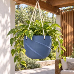 May include: A matte blue hanging planter with a subtle diagonal grooved pattern, suspended by three thick white braided ropes. A lush pothos plant with variegated green and yellow heart-shaped leaves spills over the edges of the container.