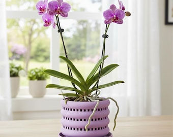 May include: A potted Phalaenopsis orchid with vibrant purple-striped petals and dark green leaves, housed in a light purple cylindrical planter featuring horizontal cut-out slats and a matching circular saucer base for drainage and plant support.