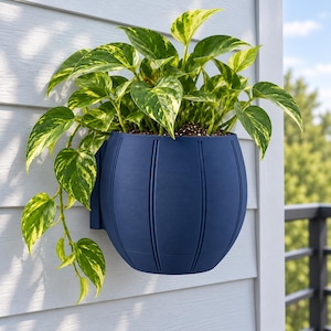 May include: A navy blue, rounded wall-mounted planter with vertical ribbed detailing. The planter holds a lush, trailing pothos plant featuring heart-shaped leaves with variegated patterns of deep green and bright yellow-green hues.
