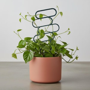 May include: A potted plant with green leaves and a dark teal metal plant trellis. The plant is in a round, peach-colored ceramic pot. The trellis has a looping design.