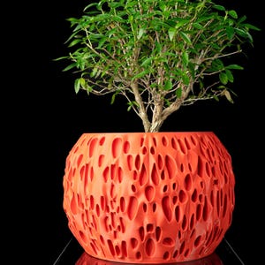 May include: A vibrant orange, spherical planter featuring a complex, porous, and organic textured surface. A small, leafy green bonsai tree with a woody trunk is planted inside the container, extending upwards from the center of the orange pot.
