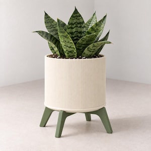 May include: A snake plant with dark green and light green variegated leaves potted in a cylindrical off-white planter with a vertical ribbed texture. The planter is supported by a stand featuring four short, angled legs in a muted olive green.