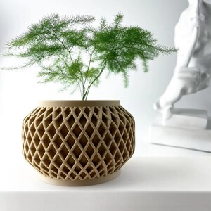May include: A tan-colored, geometric patterned planter with a green plant. The planter has a diamond-shaped lattice design. The plant has thin, needle-like green leaves. The planter is sitting on a white surface.