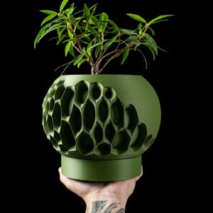 May include: A green, spherical planter with a honeycomb design, holding a small green plant with multiple leaves. The planter is held by a hand against a black background. The planter has a round base.