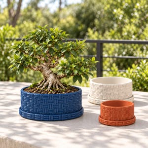 May include: A bonsai tree planted in a round blue ceramic pot with a woven basket texture pattern. Two additional empty pots in the same woven design, one in off-white and one in terracotta orange, sit nearby on a flat surface.