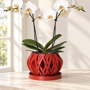 May include: A potted white orchid plant with two tall stems featuring multiple blooming flowers and green leaves. The plant is housed in a vibrant red, spherical planter with a decorative lattice-style cutout pattern and a matching circular red base tray.
