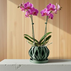 Orchid Planter Pot "Rimo"- Modern 3D Printed Geometric Pot with Drainage