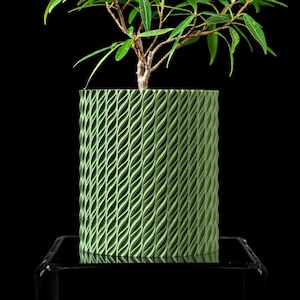 May include: A green plant in a green planter with a textured, woven design. The planter is on a black surface.