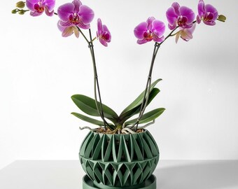 May include: A vibrant phalaenopsis orchid with magenta and white petals, featuring two long stems and broad green leaves. The plant is housed in a dark green, spherical planter with a geometric, lattice-like cutout pattern and a matching circular base.