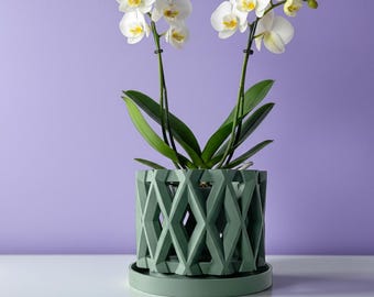 May include: A potted Phalaenopsis orchid with white petals and yellow centers, featuring two tall stems with multiple blooms and buds. The plant is housed in a sage green cylindrical planter with a geometric diamond-shaped lattice cutout design.