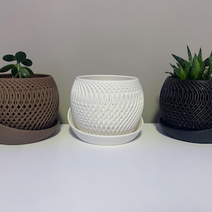 Pot pour plantes succulentes (2 pièces)