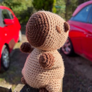 Crochet Capybara