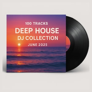 Puede incluir: Un disco de vinilo con su funda. La funda muestra una puesta de sol sobre el mar, con el texto "100 TRACKS DEEP HOUSE DJ COLLECTION JUNE 2025". El disco es negro con una etiqueta roja.