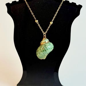Gold Plated Green Seashell Necklace: Boho Beach Jewelry