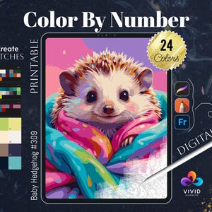 Baby Hedgehog Color by Numbers Printable Paint by Numbers Digital Coloring Pages Procreate Coloring Color by Number Animal Digital Downloads