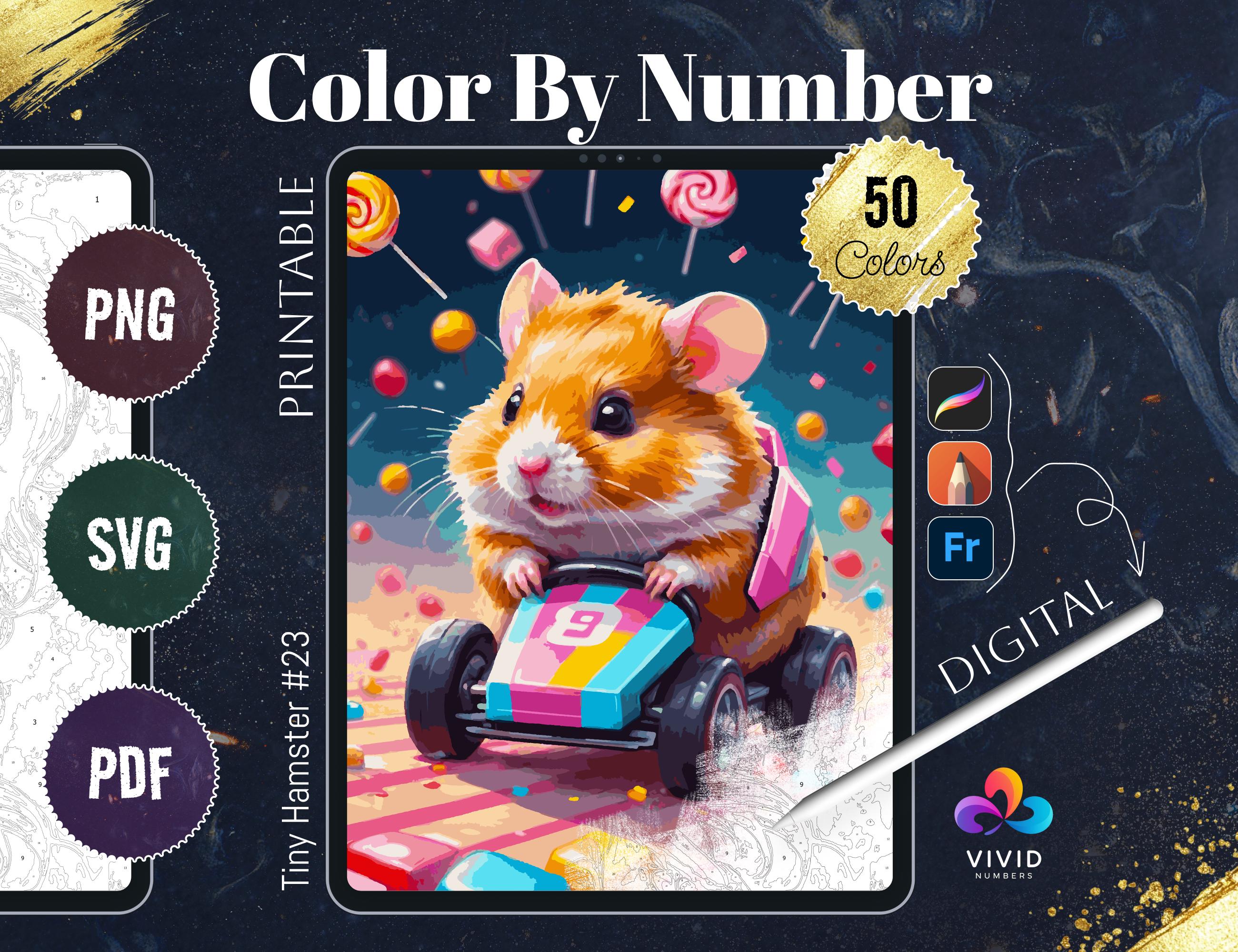 Hámster Colorear por Números para Adultos Imprimible | Páginas de Pintar por Números de Animales (PDF, PNG, SVG) para Procreate y para Imprimir