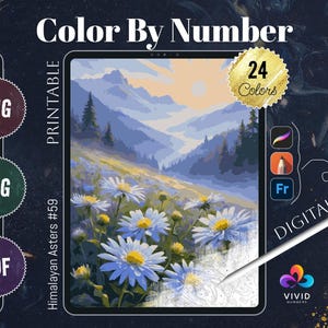 Himalayan Asters Paint by Numbers Color by Number Printable Digital Coloring Pages Procreate Coloring Therapy Flowers Coloring Pages Digital
