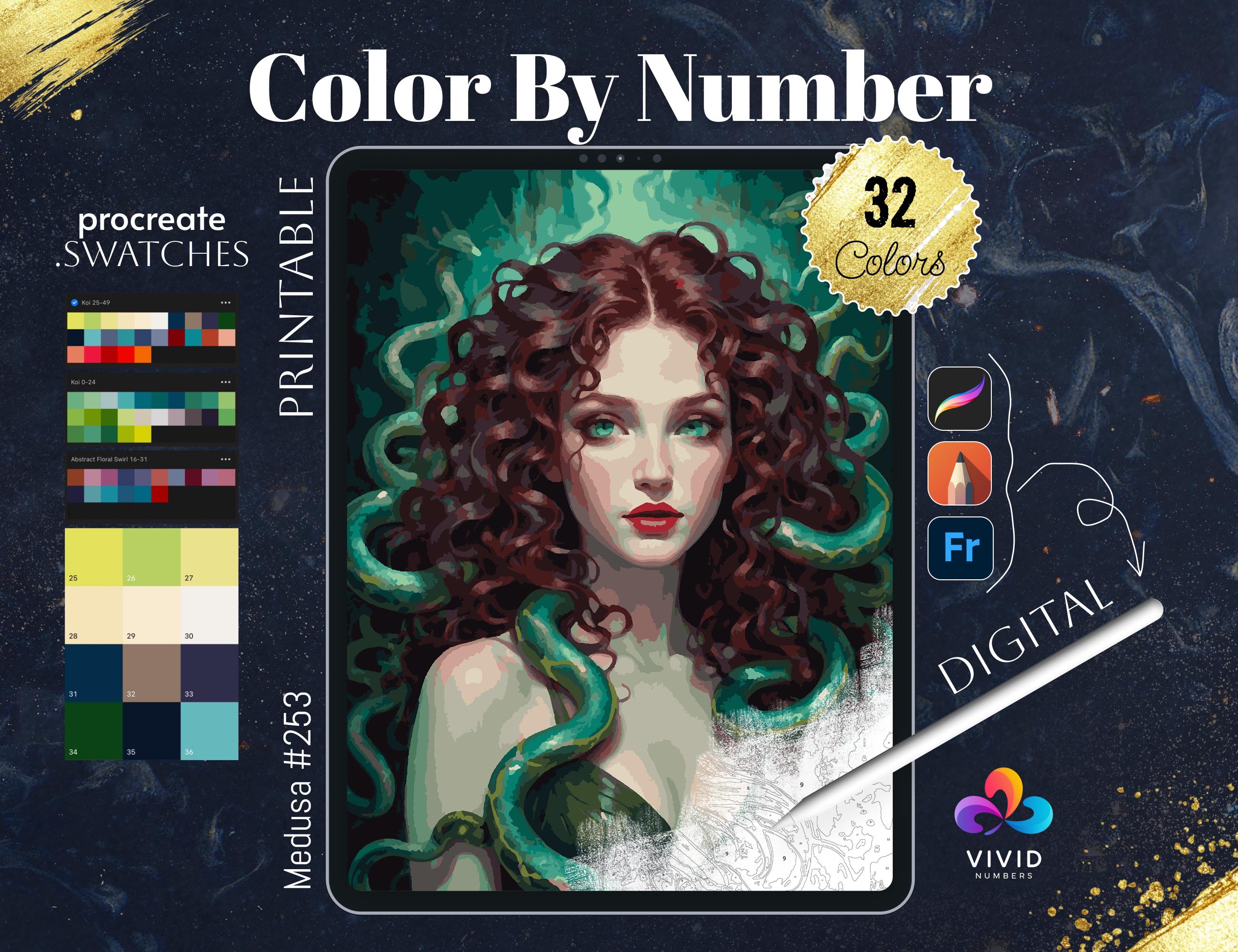 Medusa Colorear por Números Imprimible | Páginas de pintura por números digitales para adultos | Procreate y arte imprimible antiestrés