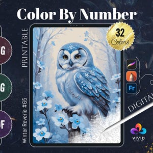 Winter Owl Coloring by Numbers Printable Paint by Numbers Digital Coloring Pages Procreate Coloring Color by Number Animal Coloring Pages