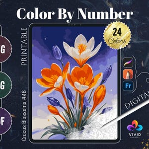 Color by Number Printable Paint by Numbers Digital Coloring Pages Procreate Coloring Art Therapy Floral Coloring Crocus Blossoms Coloring