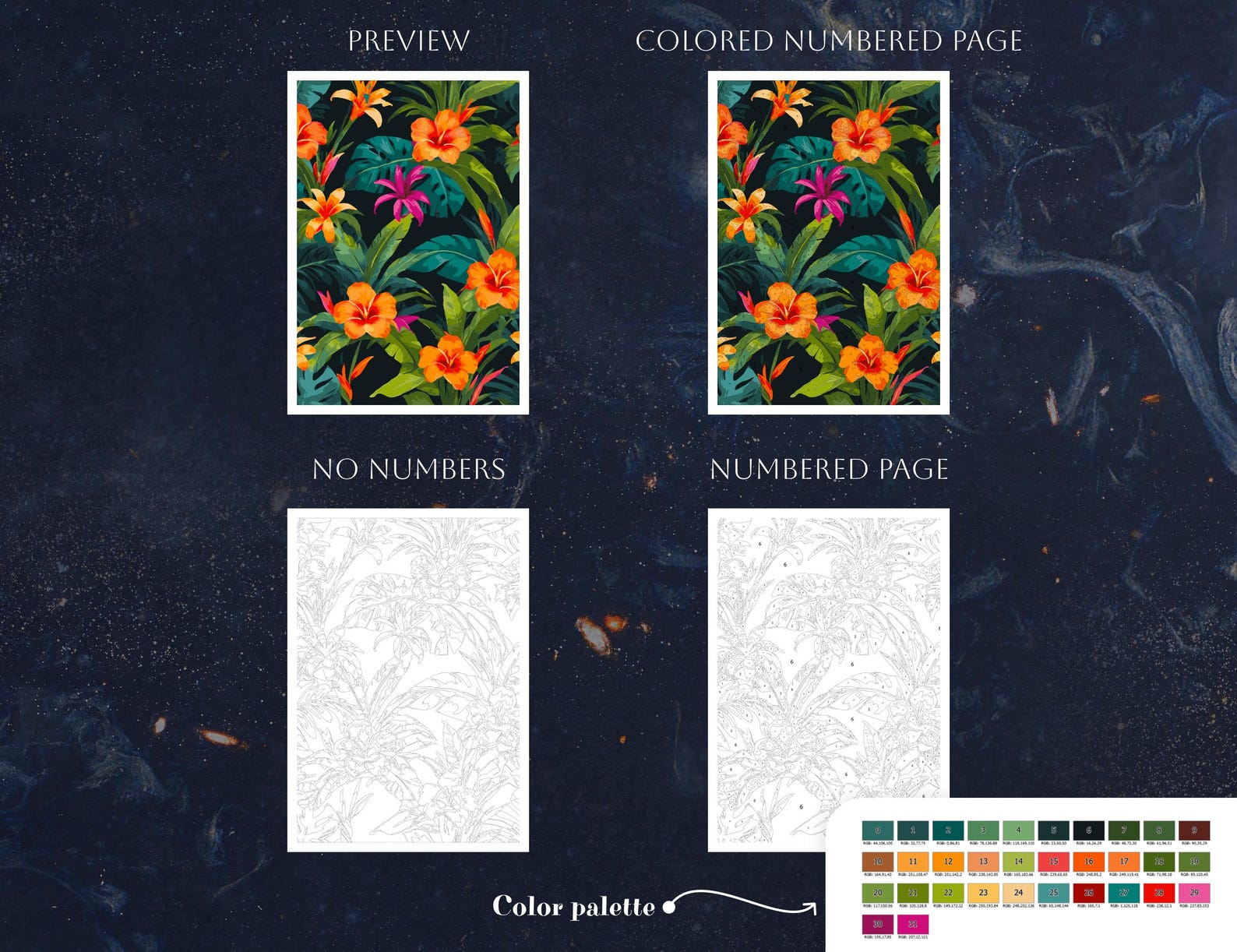 Bloom Gallery Bundle Color by Numbers for Teens Printable Paint by ...