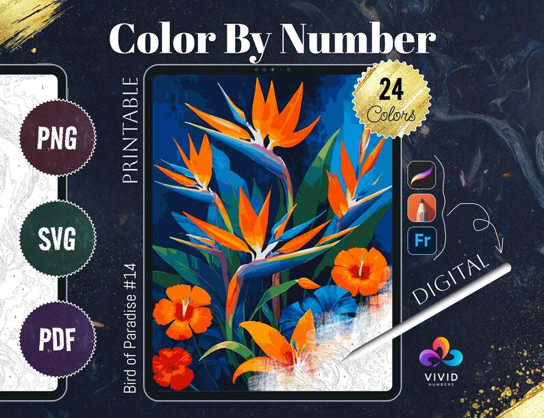 Bird of Paradise Color by Numbers for Adults Printable Paint by Numbers ...